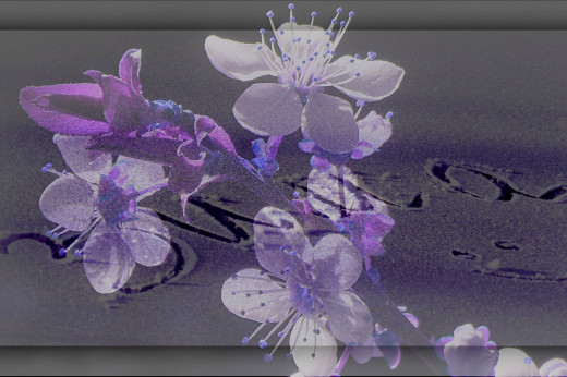 915633 (a): :1938x1288